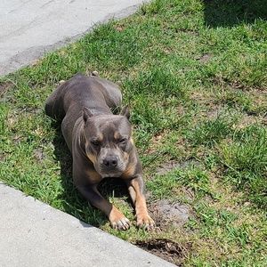 Meet your Posher, Crystal